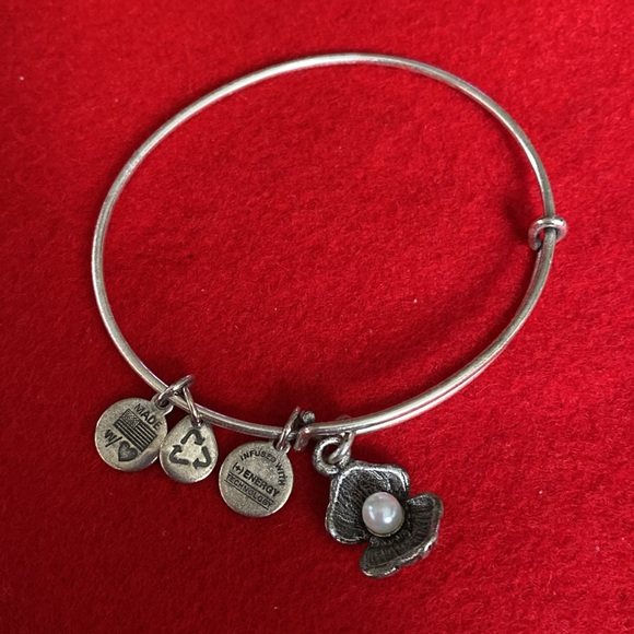 Alex and Ani Oyster Pearl Clam Charm Bracelet - Picture 1 of 6